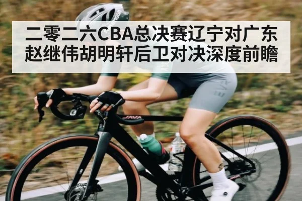 二零二六CBA总决赛辽宁对广东赵继伟胡明轩后卫对决深度前瞻